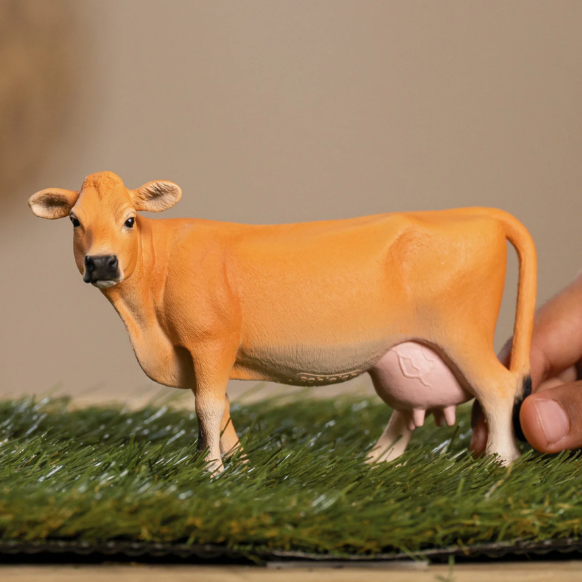 Jersey Cow - Image 2