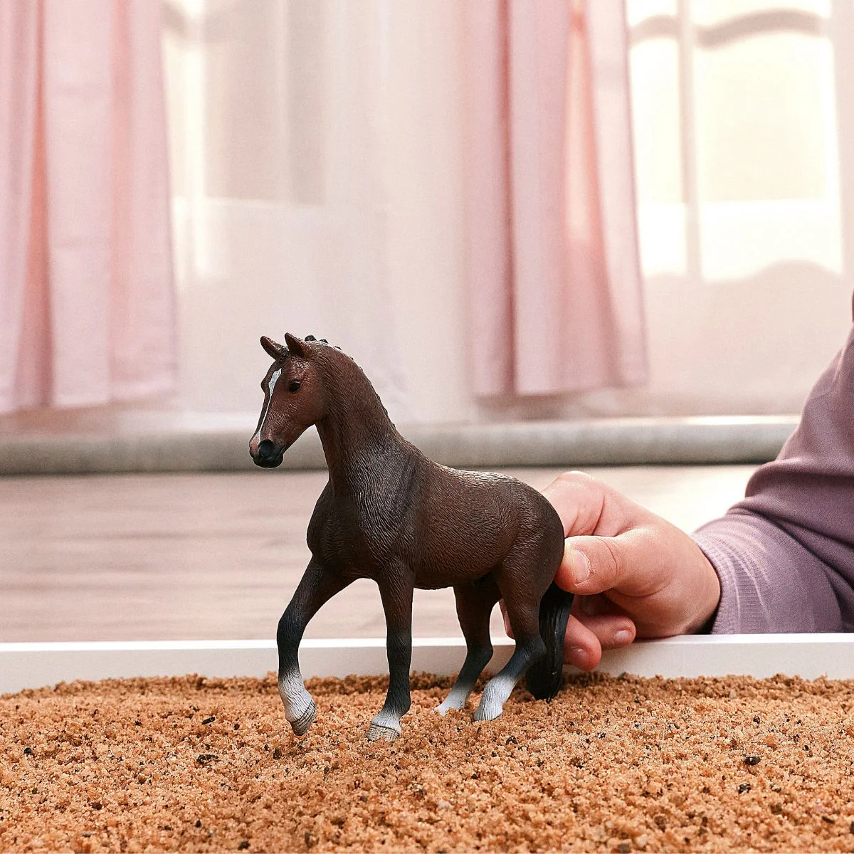 KWPN Gelding - Image 2