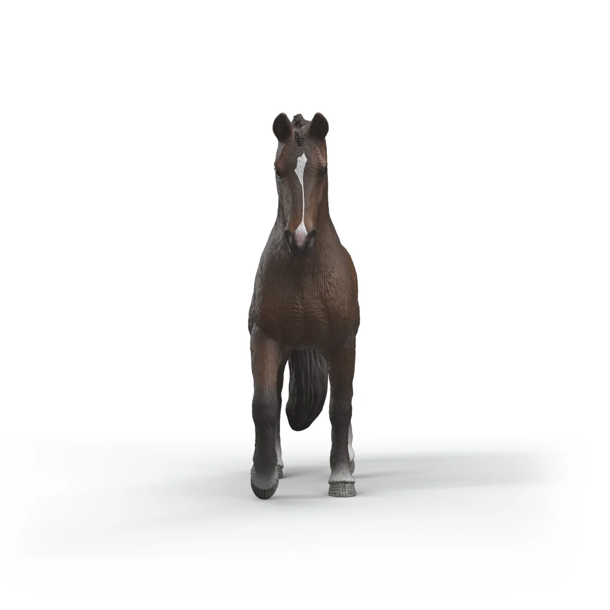 KWPN Gelding - Image 3