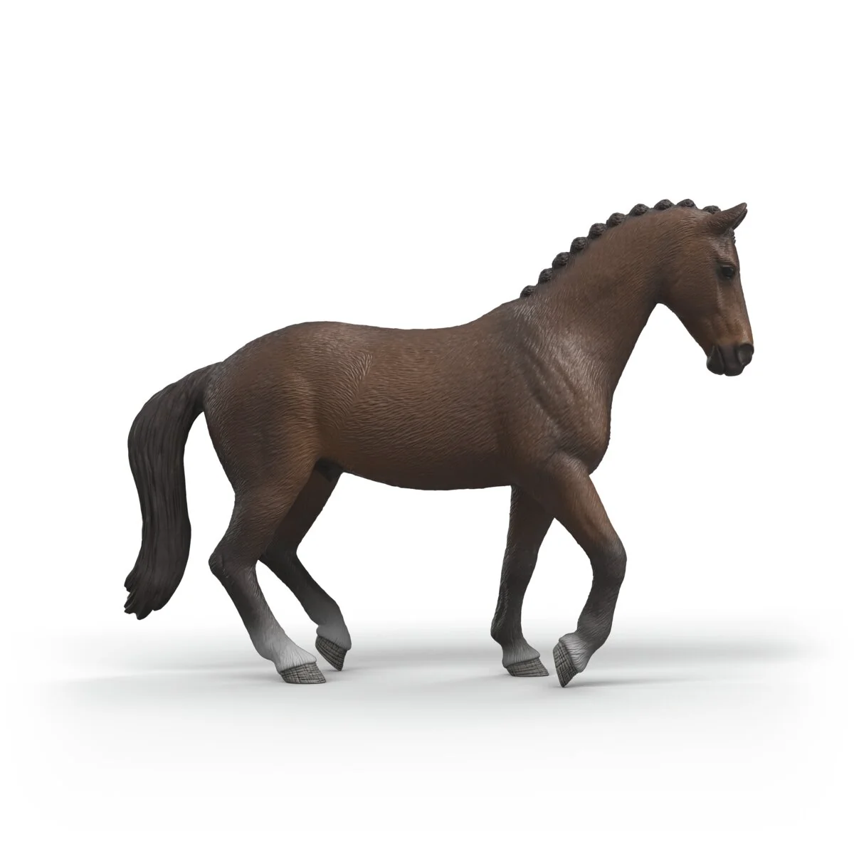 KWPN Gelding - Image 5