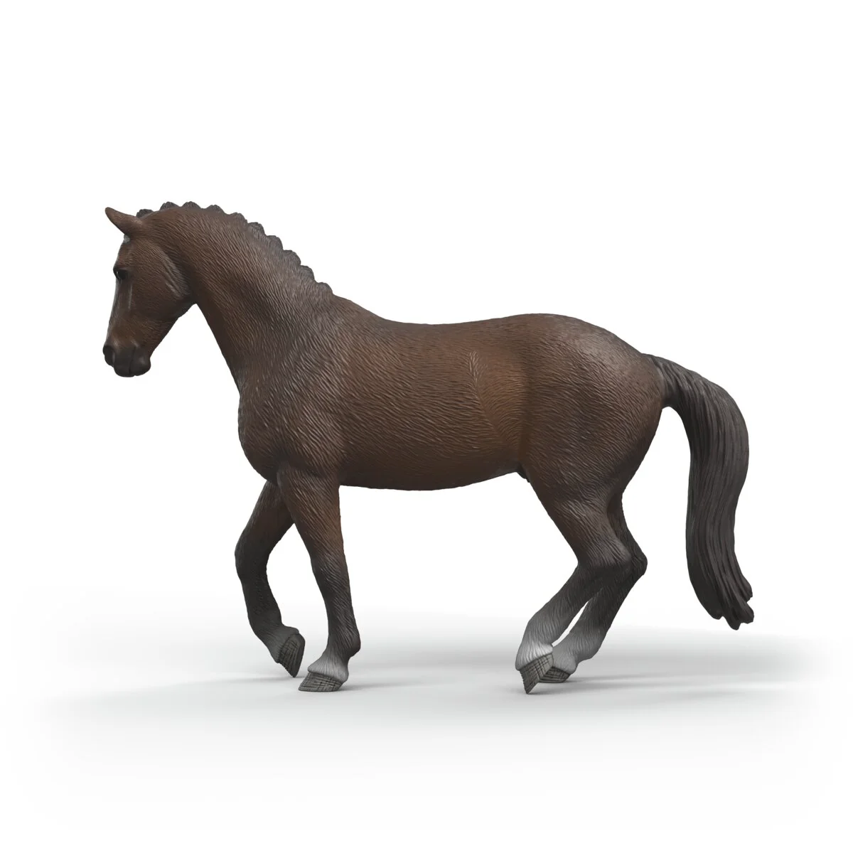 KWPN Gelding - Image 6