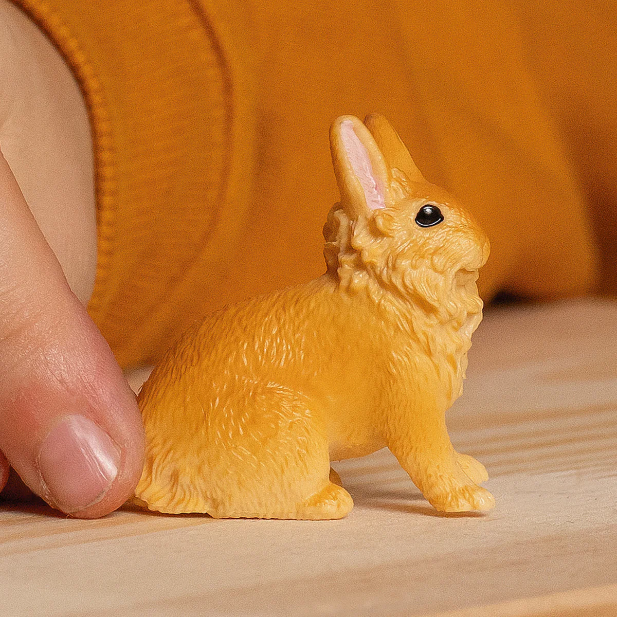 Lionhead Rabbit - Image 2