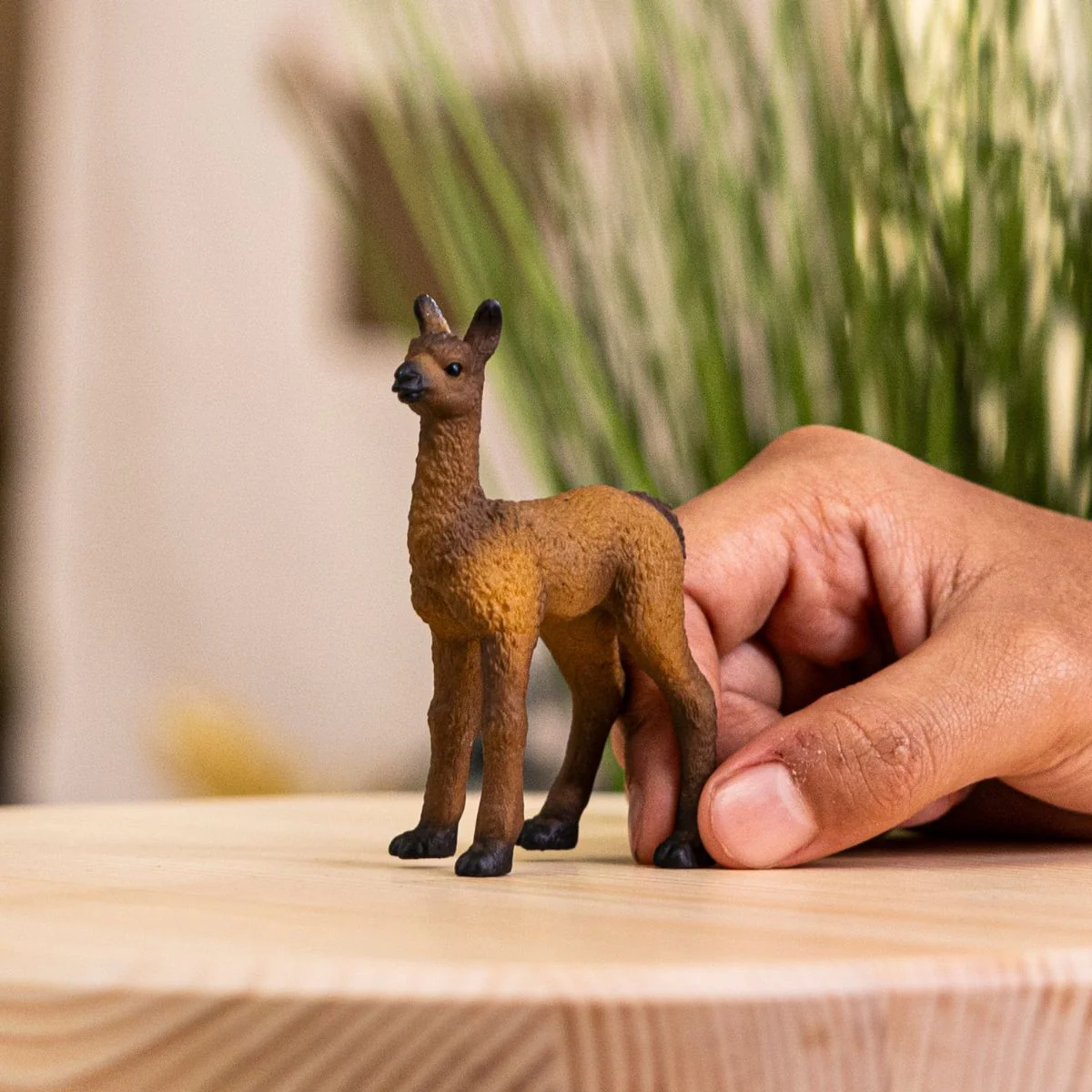Llama Foal - Image 2