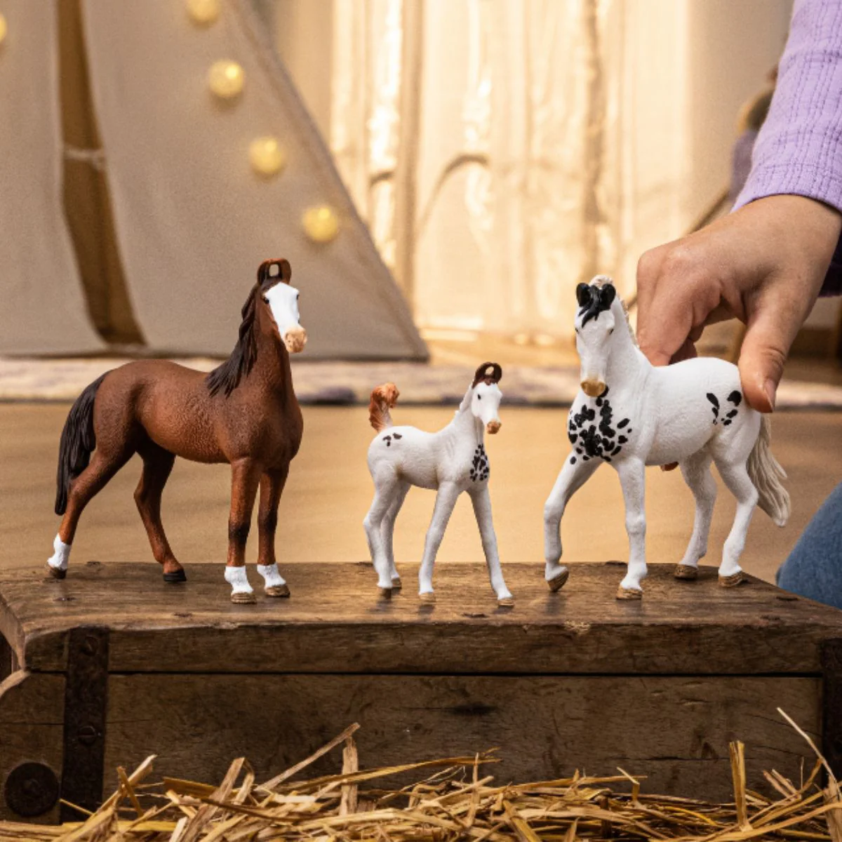 Marwari Mare - Image 3