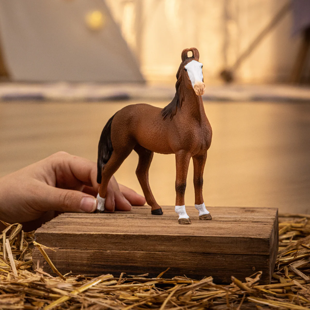 Marwari Mare - Image 2