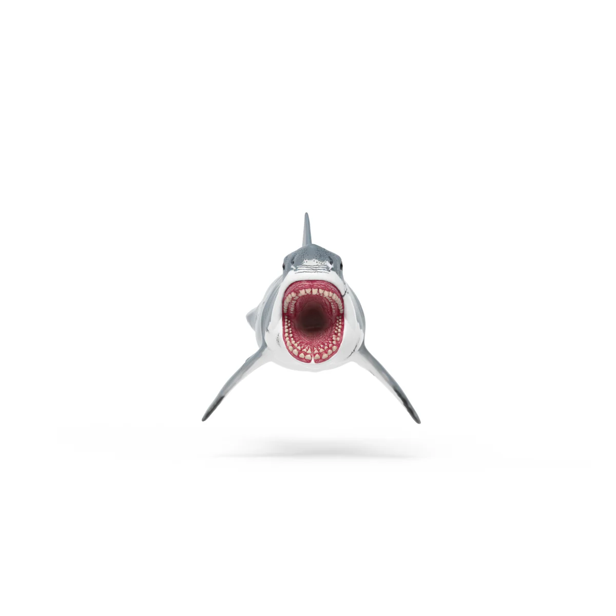 Megalodon - Image 4