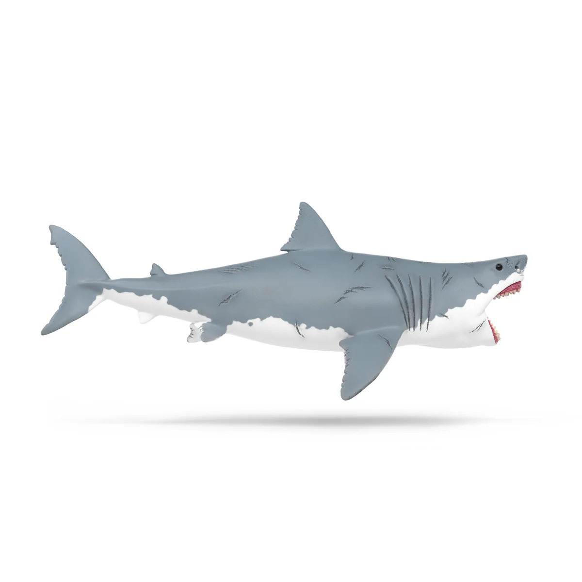 Megalodon - Image 5