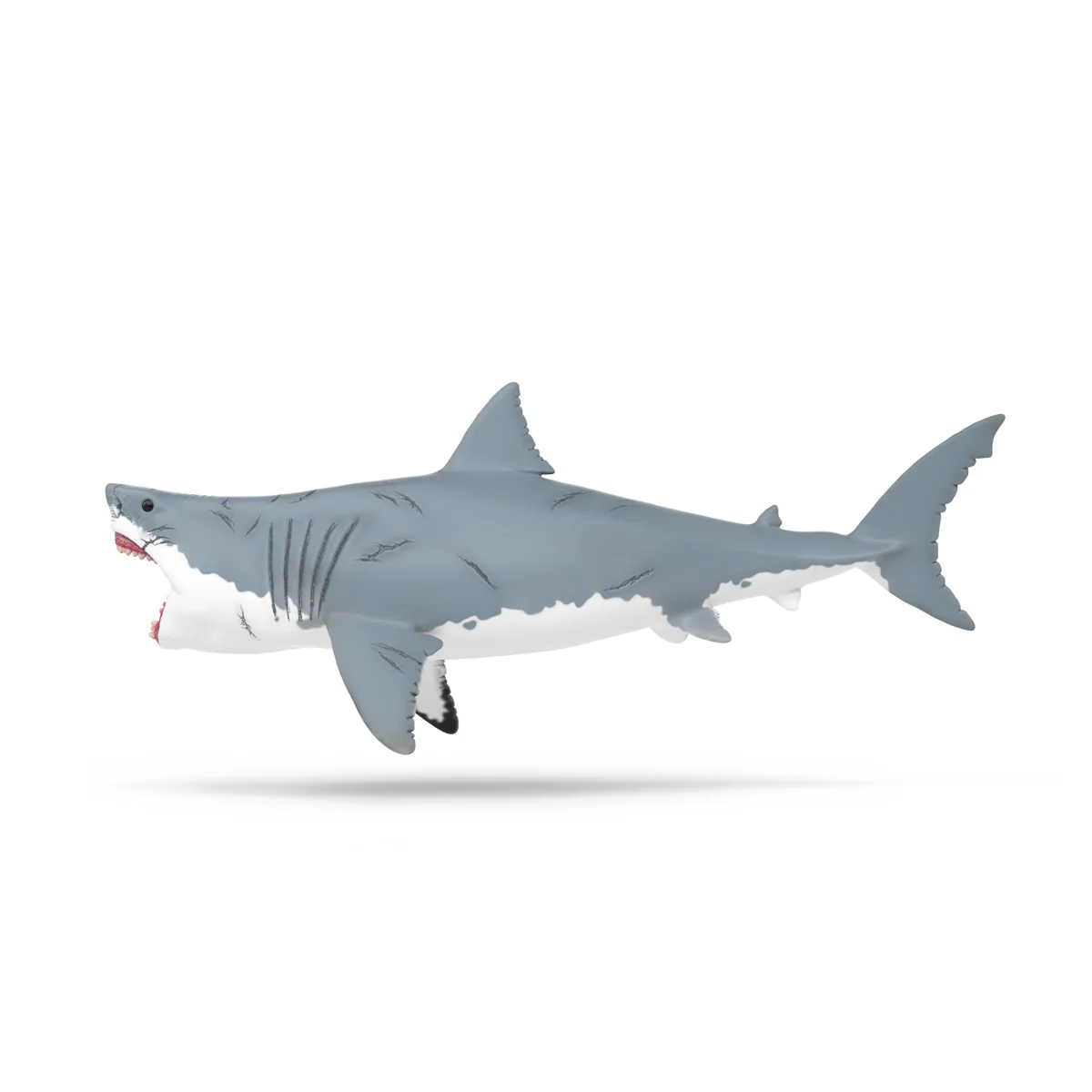 Megalodon - Image 7