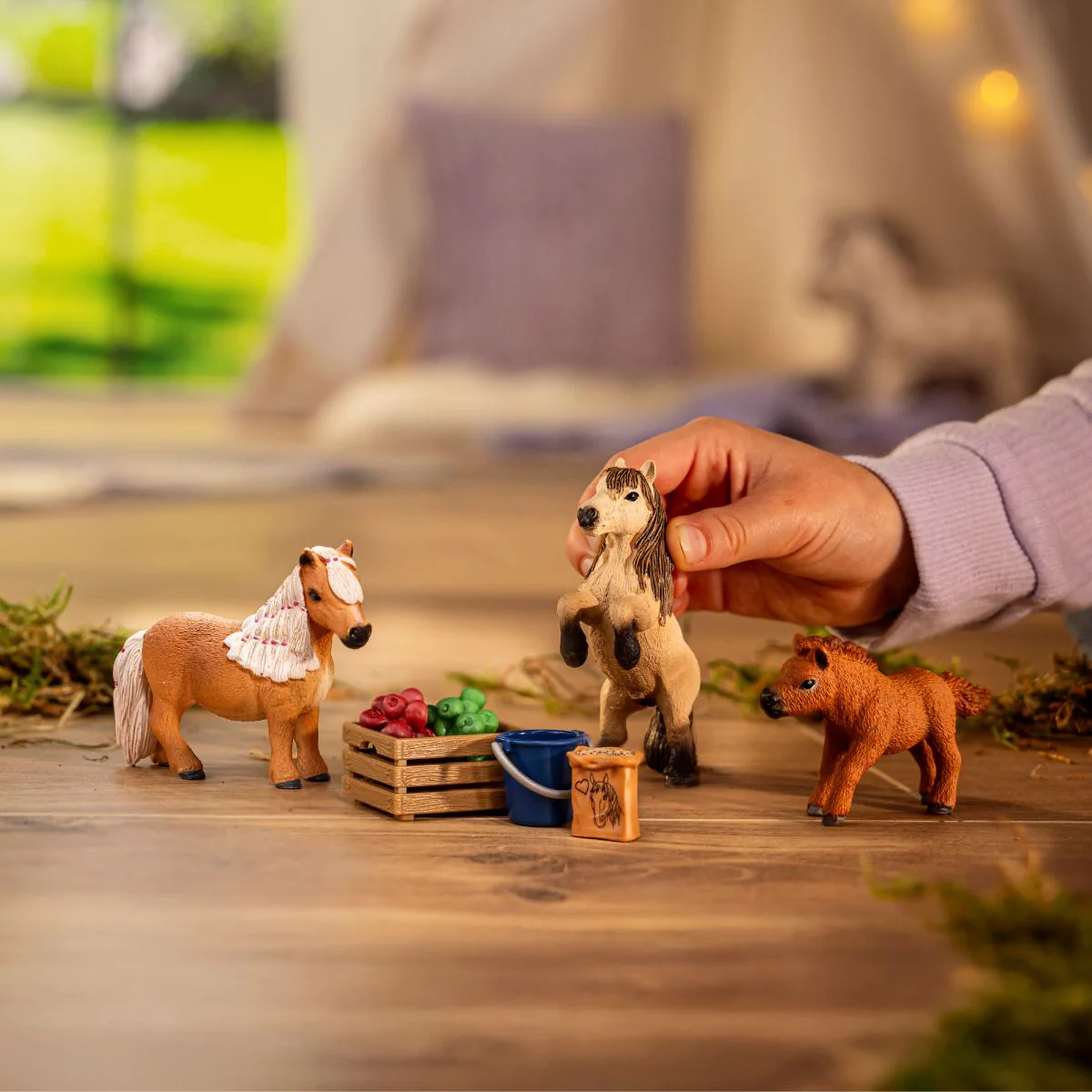 Miniature Shetland pony family - Image 2