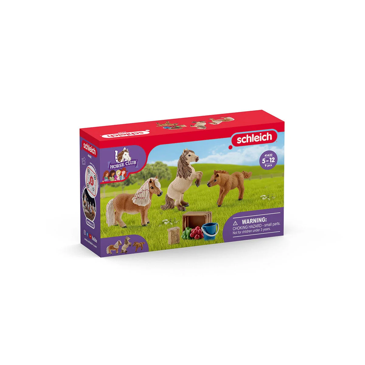 Miniature Shetland pony family - Image 3