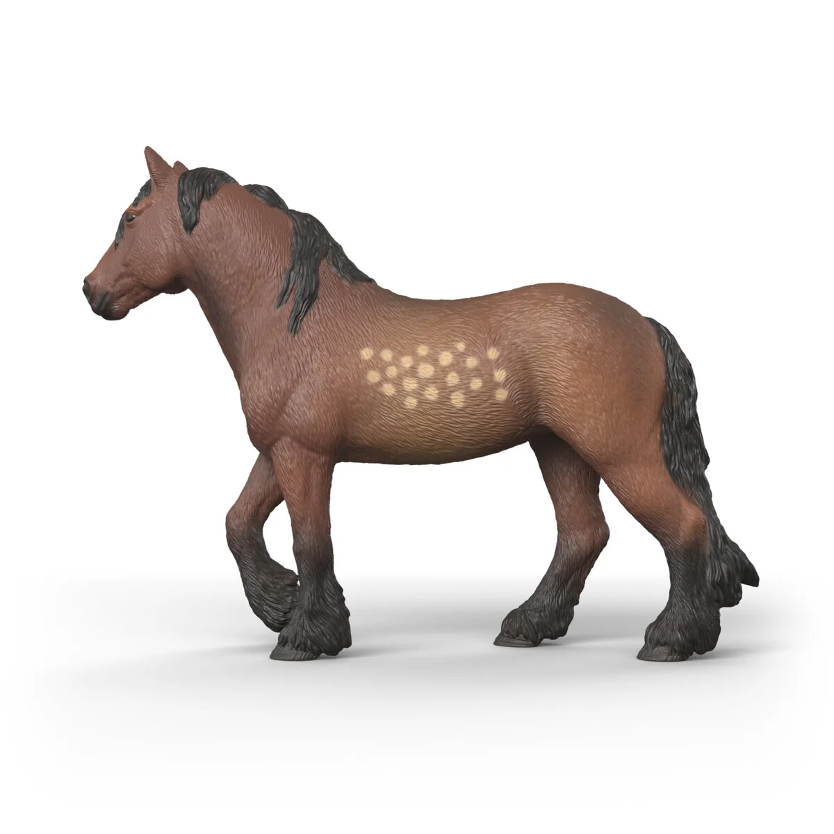 North Swedish Cold Blooded Mare - Image 6