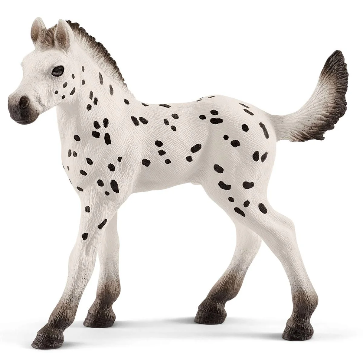 Open Stable - Image 6