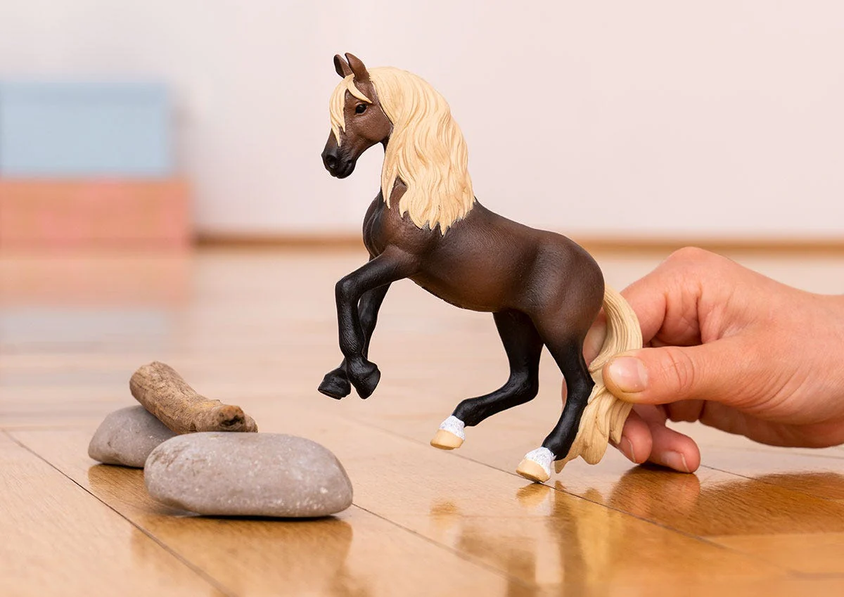 Peruvian Paso Stallion - Image 7