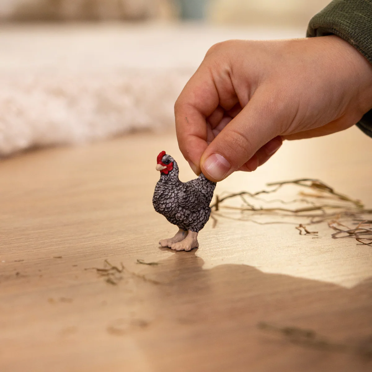 Plymouth Rock Chicken - Image 2