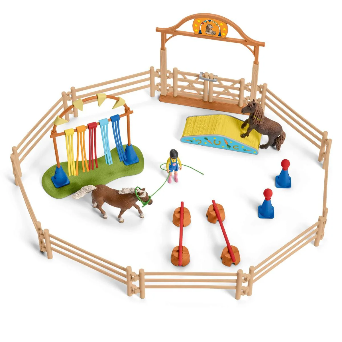 Pony agility training - Image 5