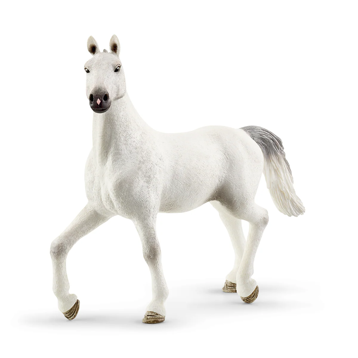 Riding Arena Peppertree - Image 22