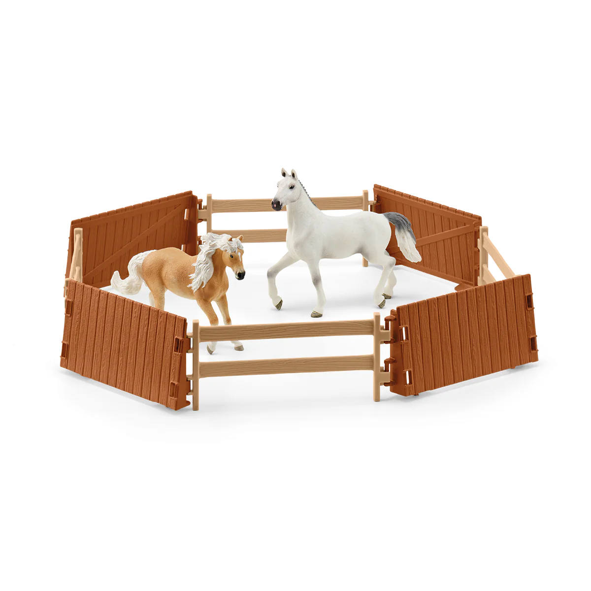 Riding Arena Peppertree - Image 46