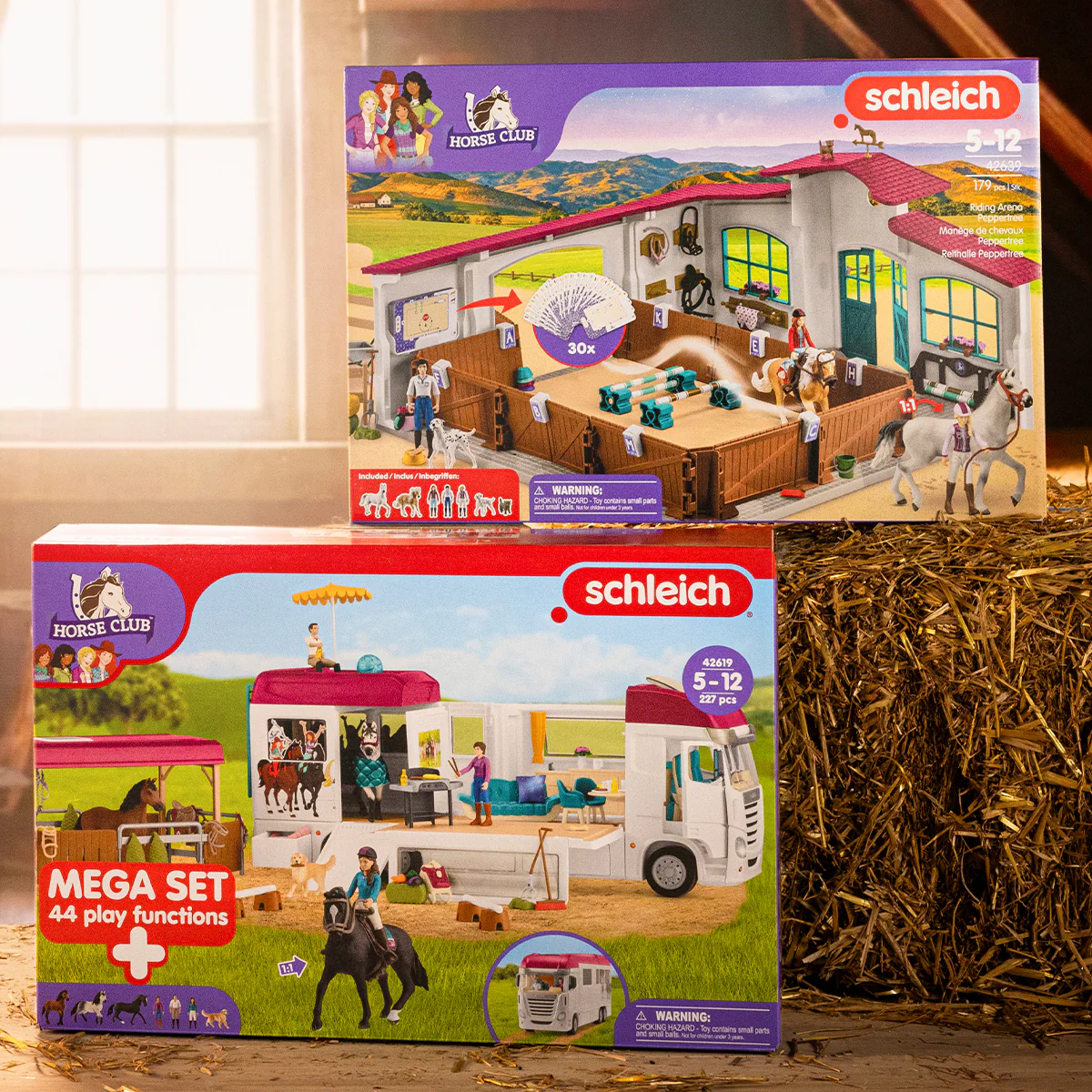 Riding Arena Peppertree - Image 6