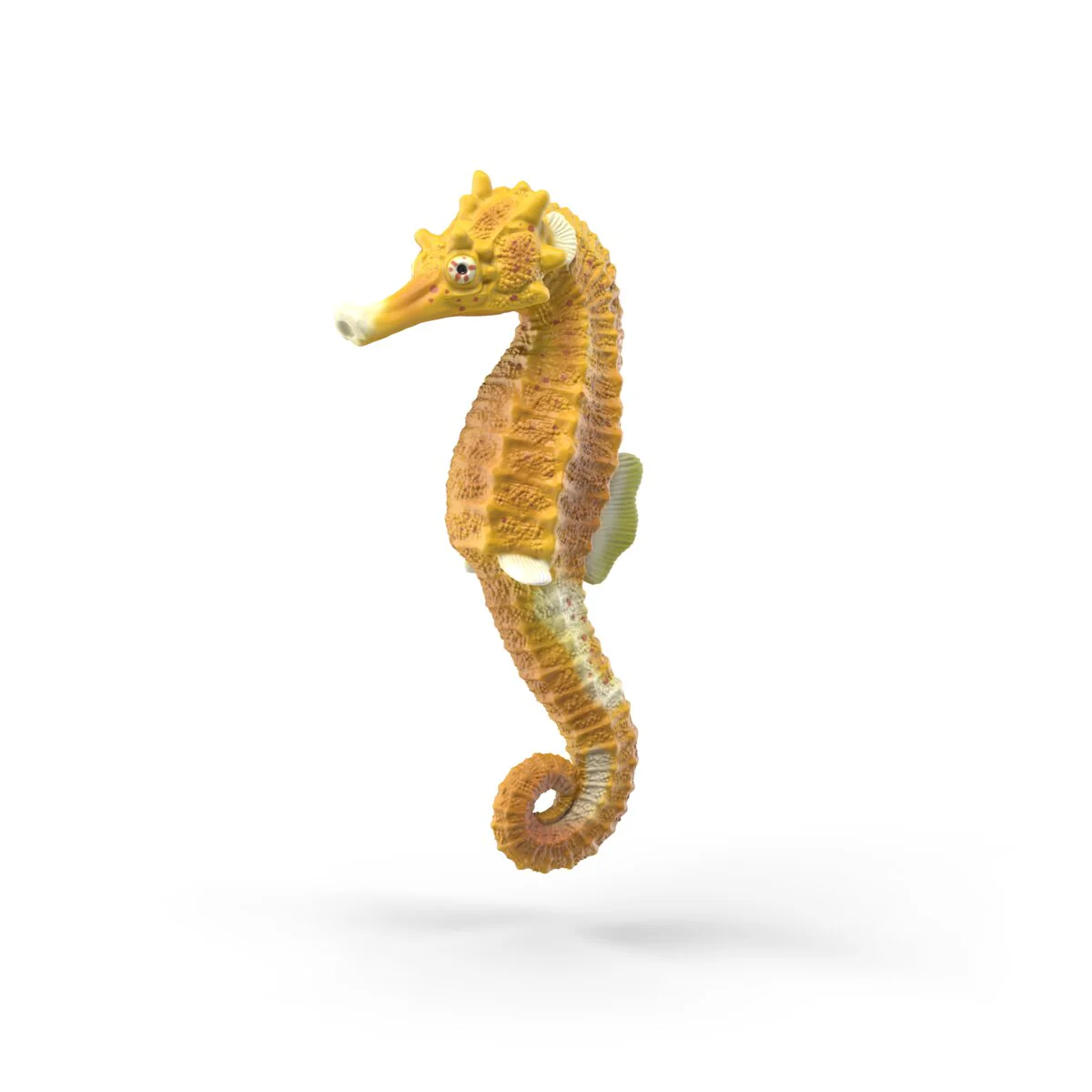 Sea animals discovery set - Image 3