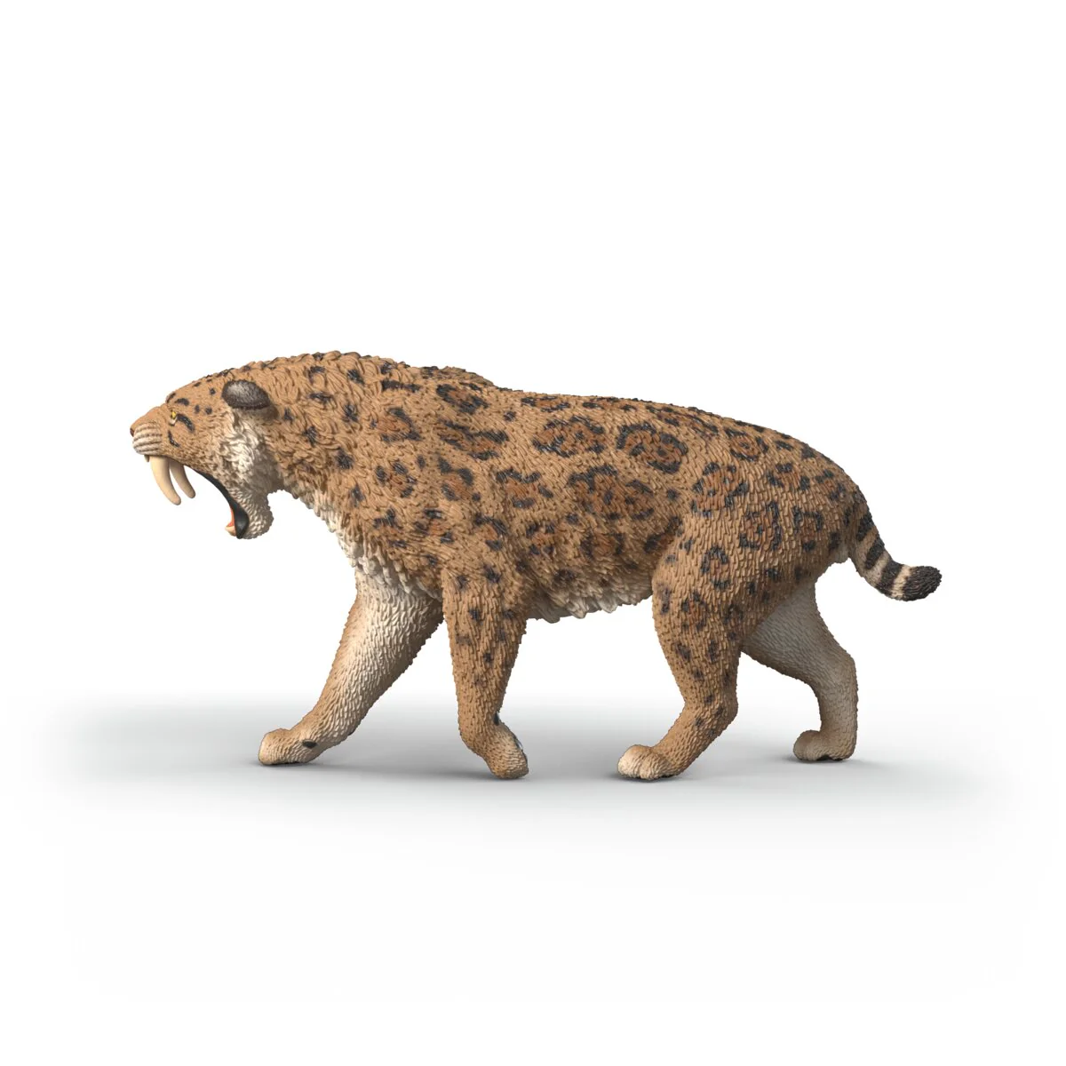 Smilodon - Image 4