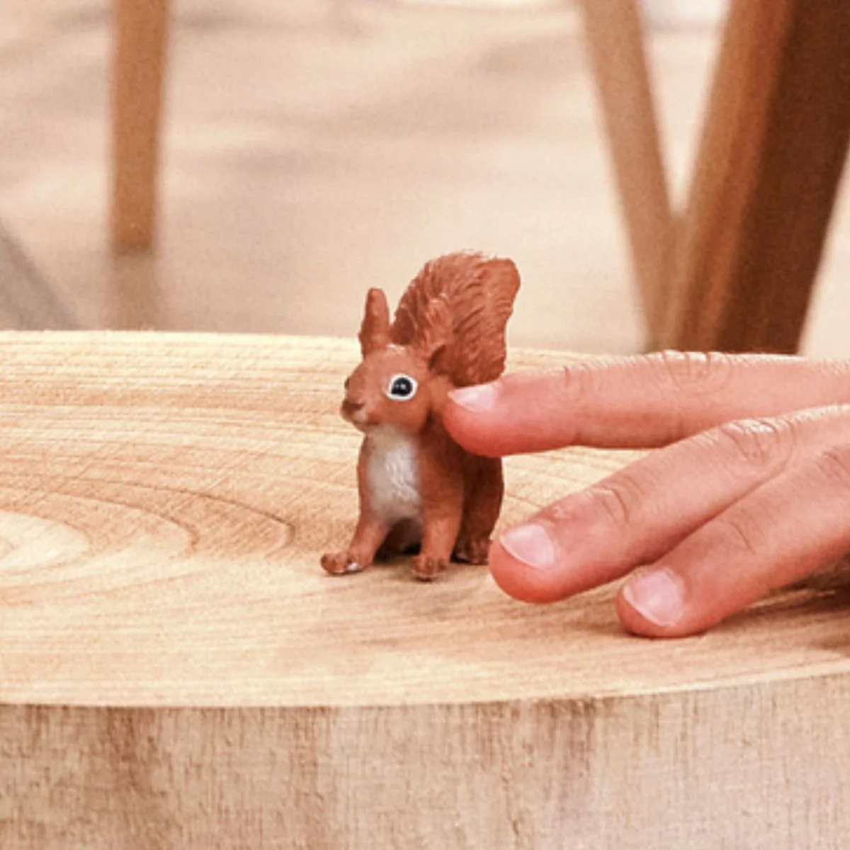 Squirrel - Image 2