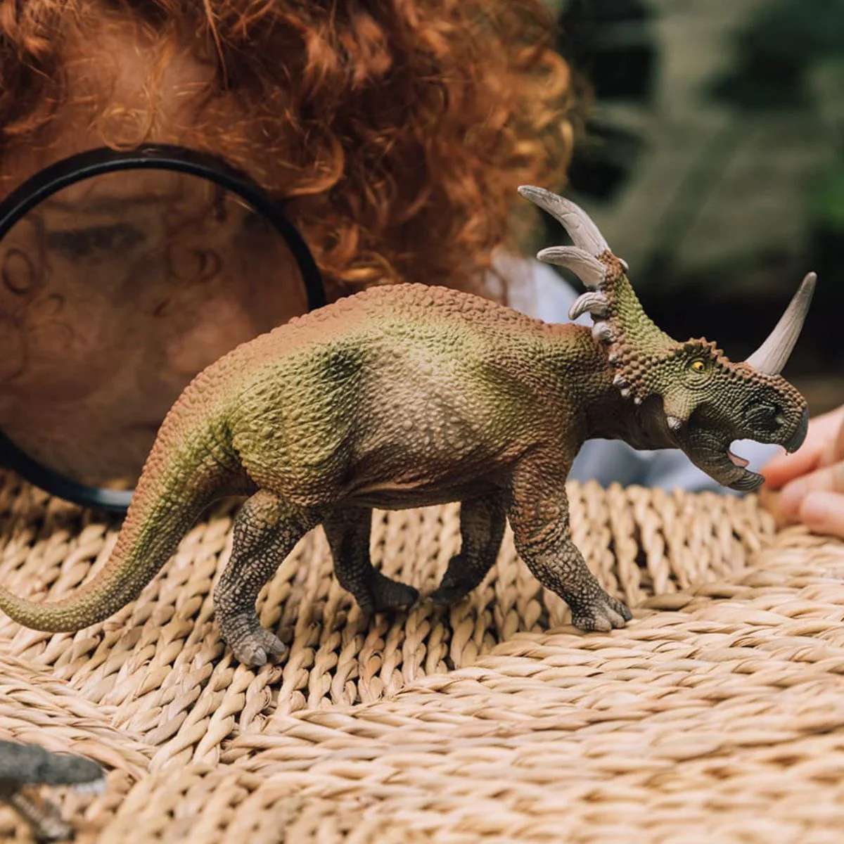 Styracosaurus - Image 2