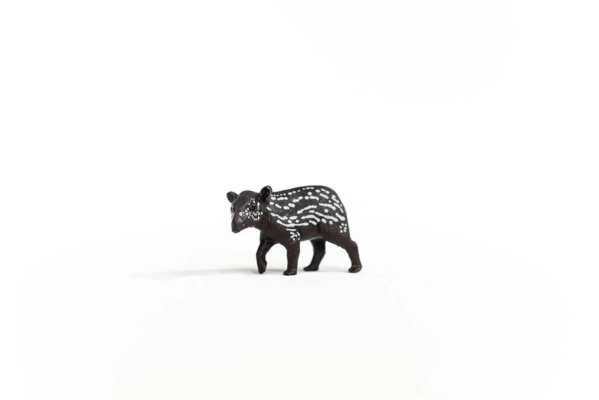 Tapir Baby - Image 2