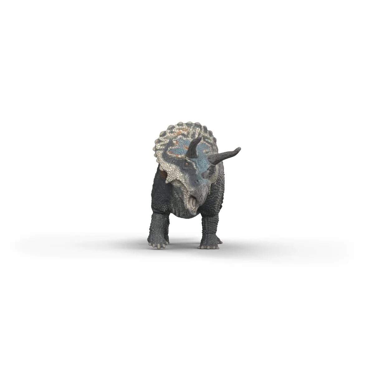 Triceratops - Image 3