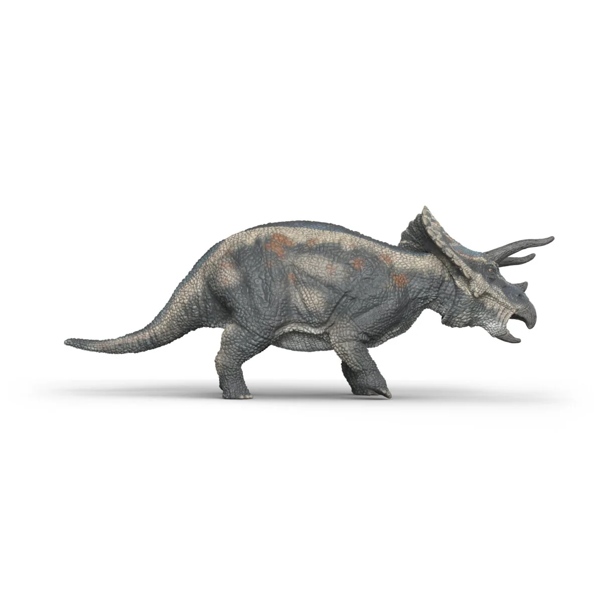 Triceratops - Image 5