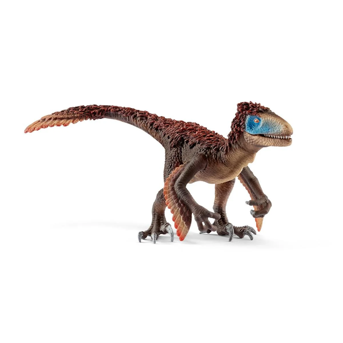 Utahraptor - Image 4