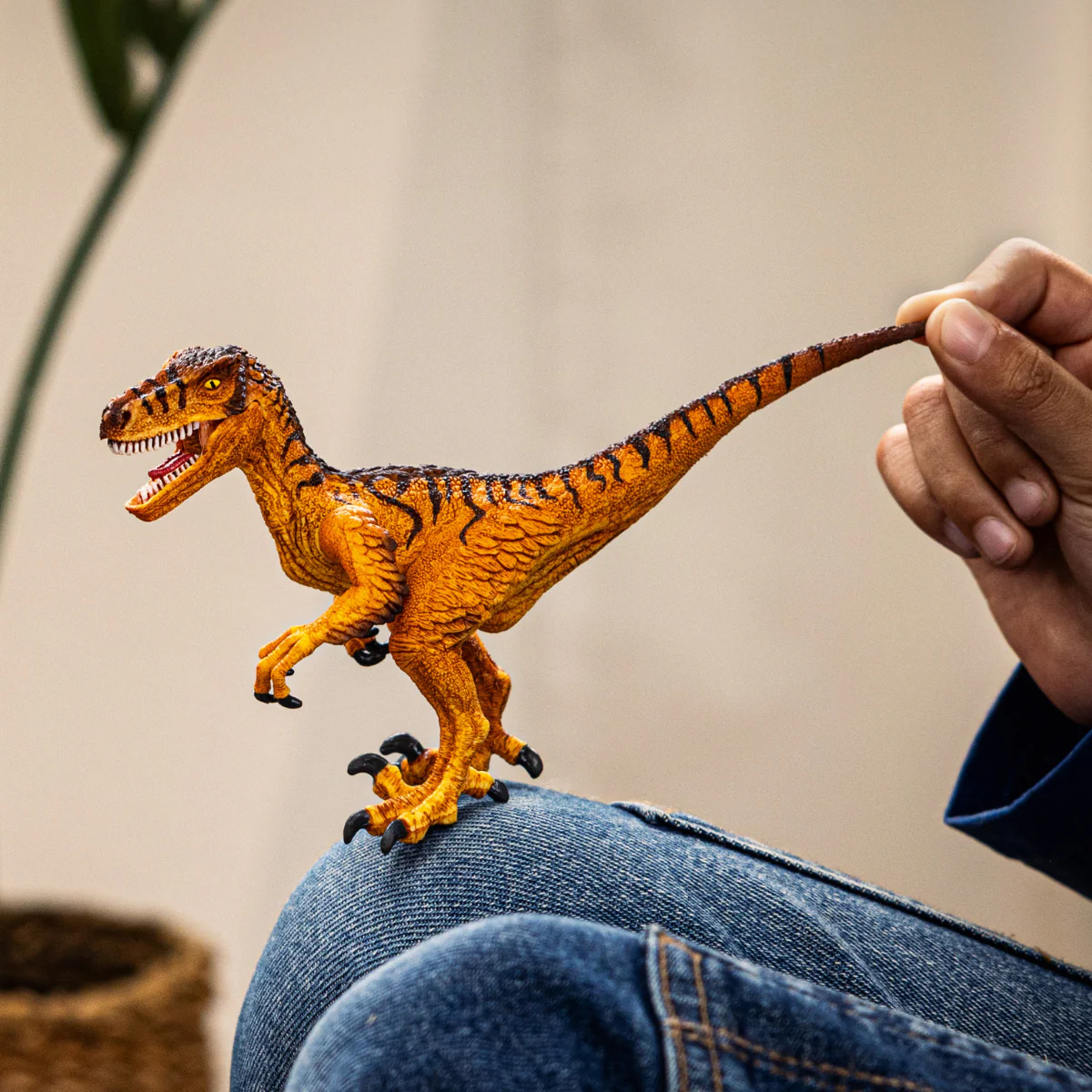 Velociraptor - Image 2