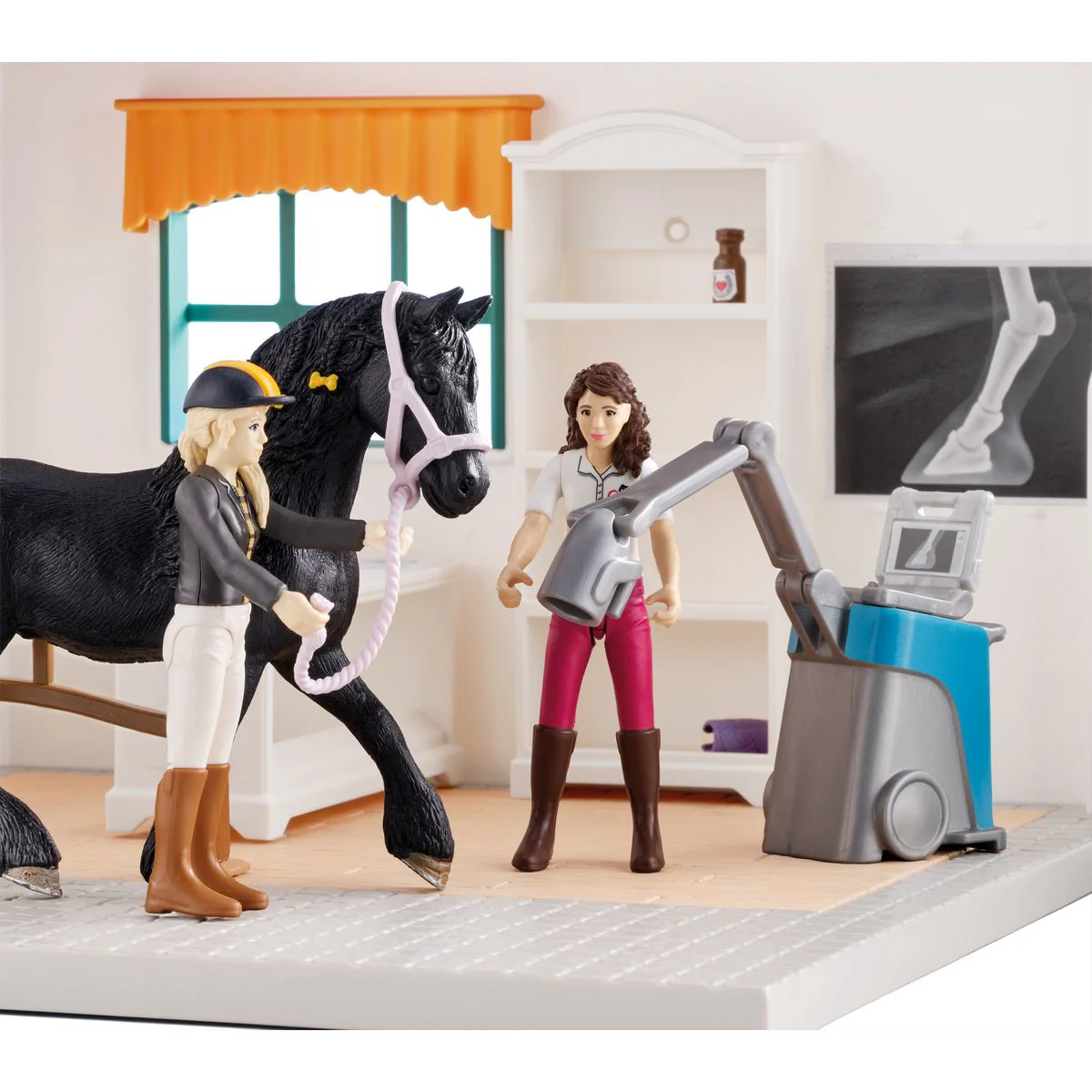 Visiting the vet - Image 5