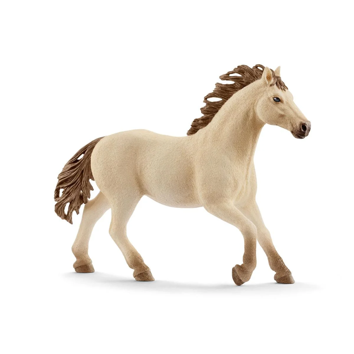 Western riding - Image 3