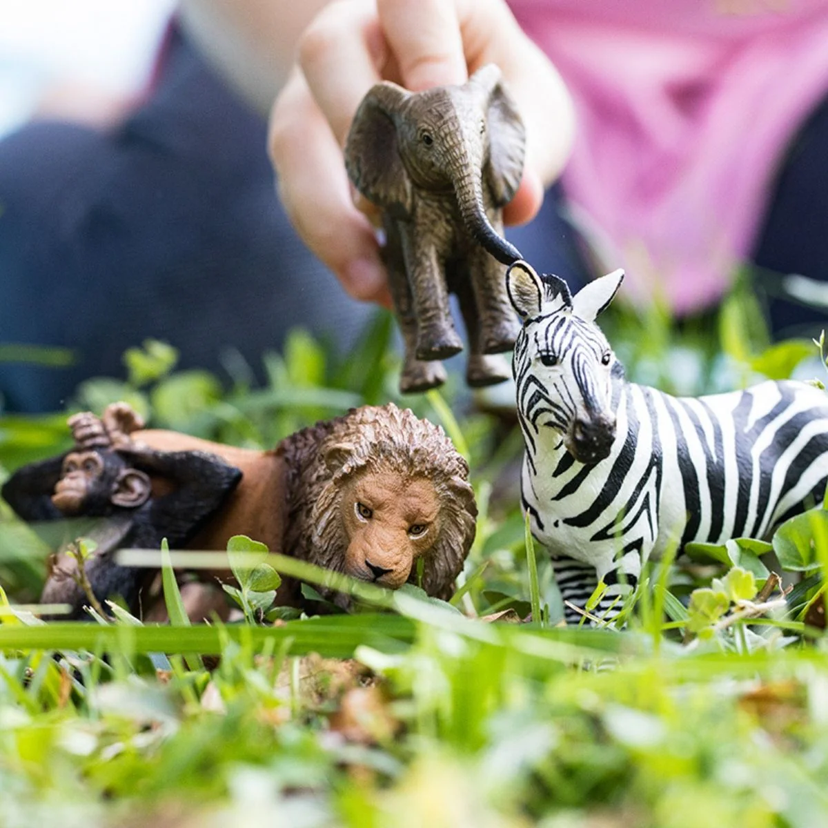 WILD LIFE starter set - Image 3